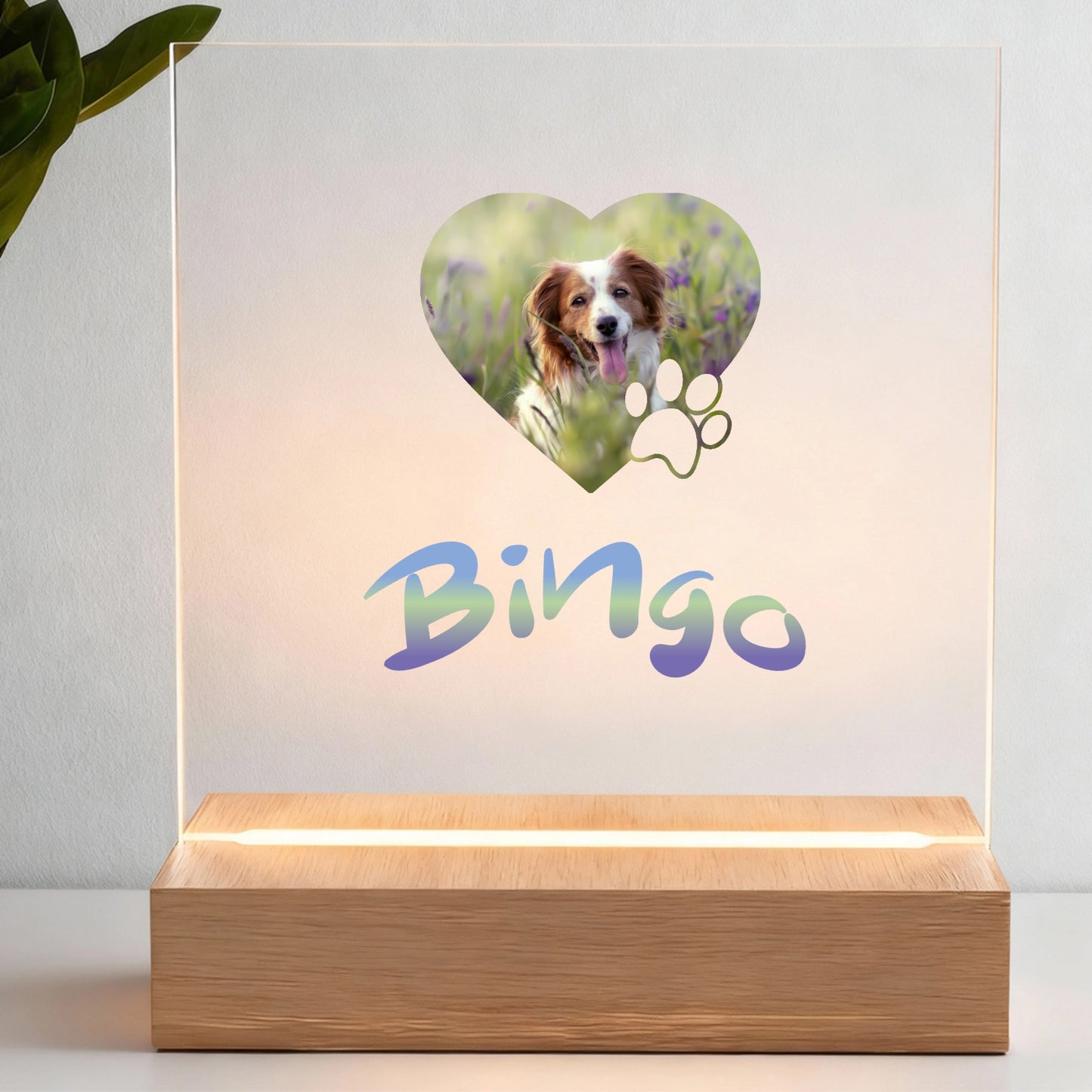 Dla ukochanego pupila - Ramka LED: