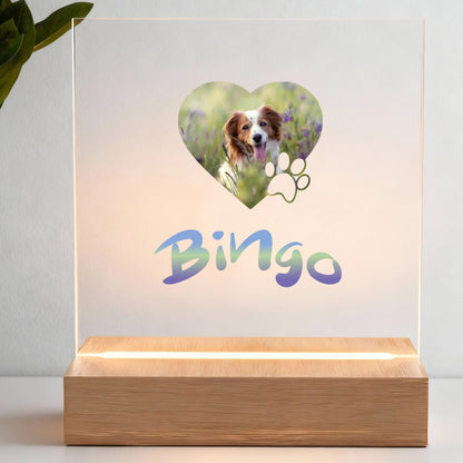 Dla ukochanego pupila - Ramka LED: